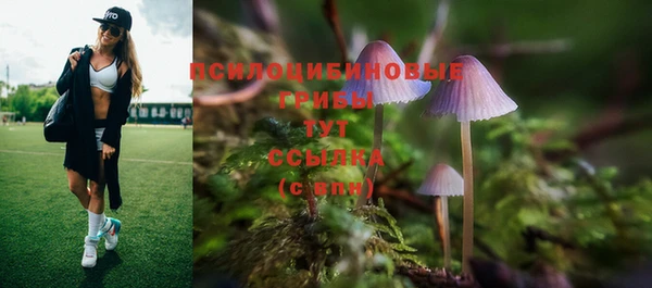 шишки Заволжск