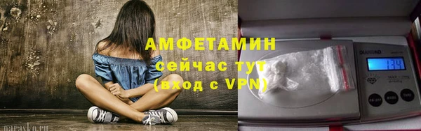 шишки Заволжск