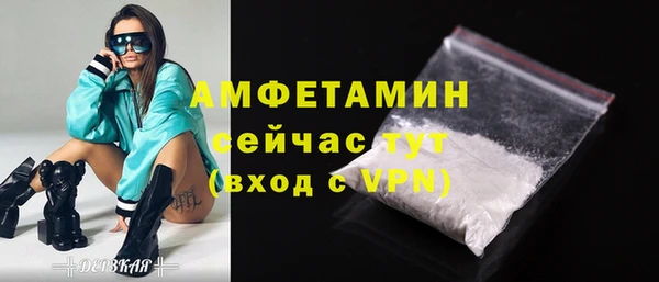 шишки Заволжск