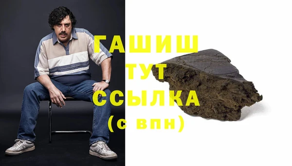 гидра Елабуга