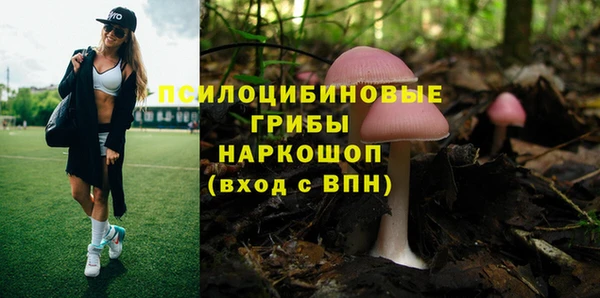 шишки Заволжск