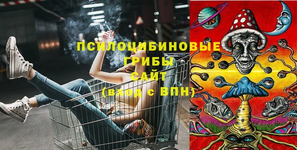 СК Заводоуковск