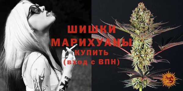 шишки Заволжск