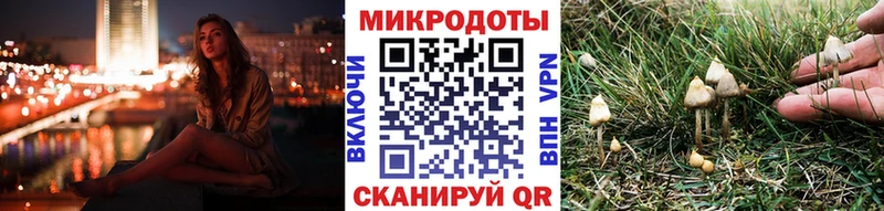 Галлюциногенные грибы Cubensis  Купить закладки  Сальск 
